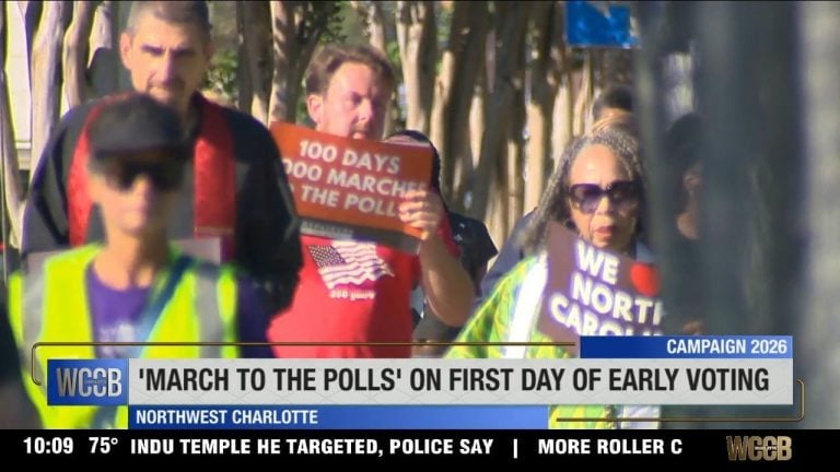 Local organizers march, text message, canvass and more to get people to the polls